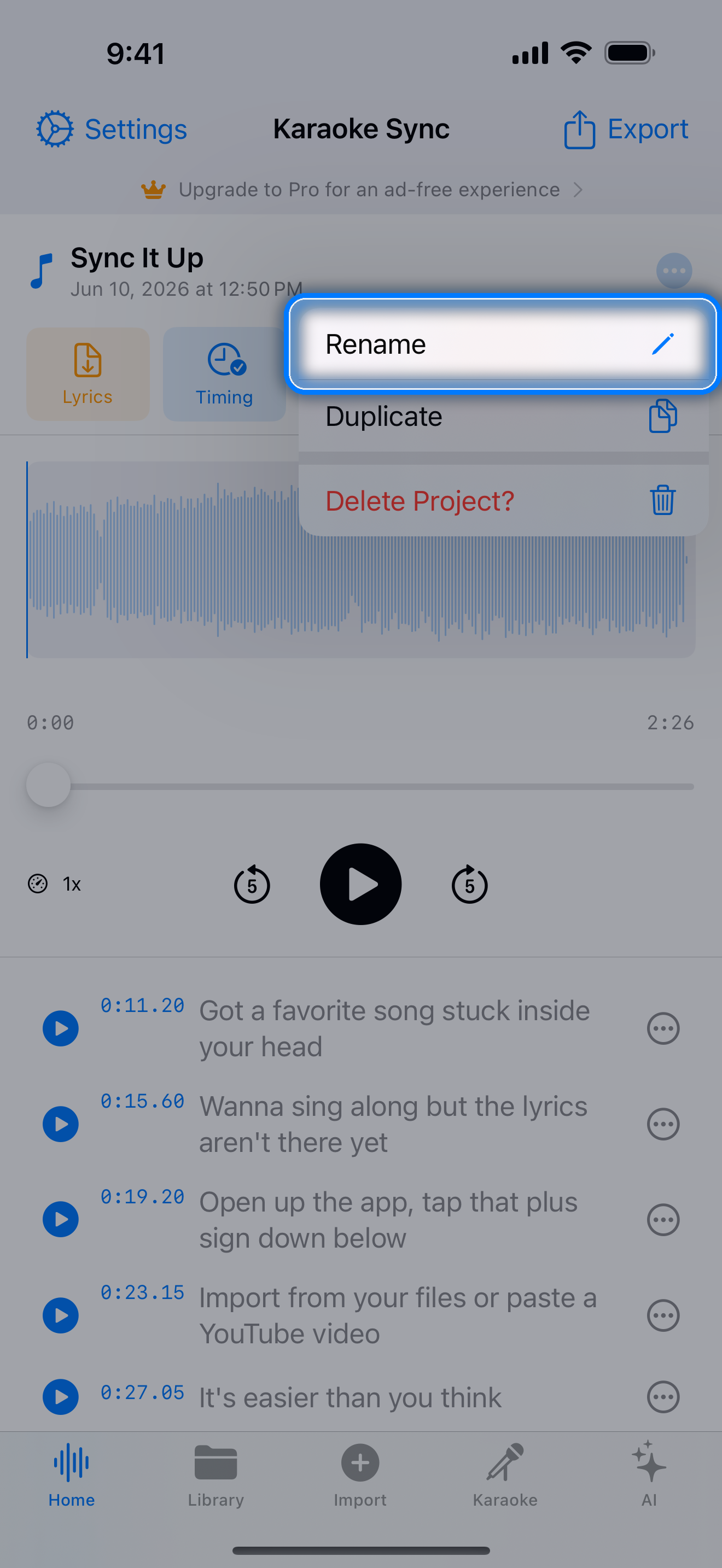 Project menu with the Rename option